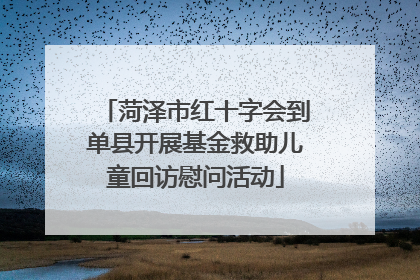 菏泽市红十字会到单县开展基金救助儿童回访慰问活动